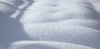 Co trzeba złożyć do końca stycznia 2023?