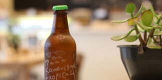 Czy matka octowa a kombucha to to samo?