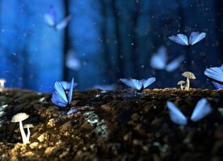 Czy można wystawić fakturę po 2 latach?