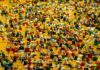 Jak rozpoznać oryginalne figurki LEGO? Jak rozpoznać oryginalne figurki LEGO?