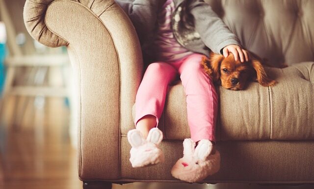 Jak zadbać o odpowiednią dietę psa juniora? Warto dowiedzieć się, co to karma dla psa junior i dlaczego jest taka ważna! Karma dla psa junior