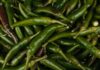 jalapenio
