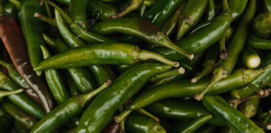 jalapenio