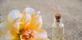 perfumy